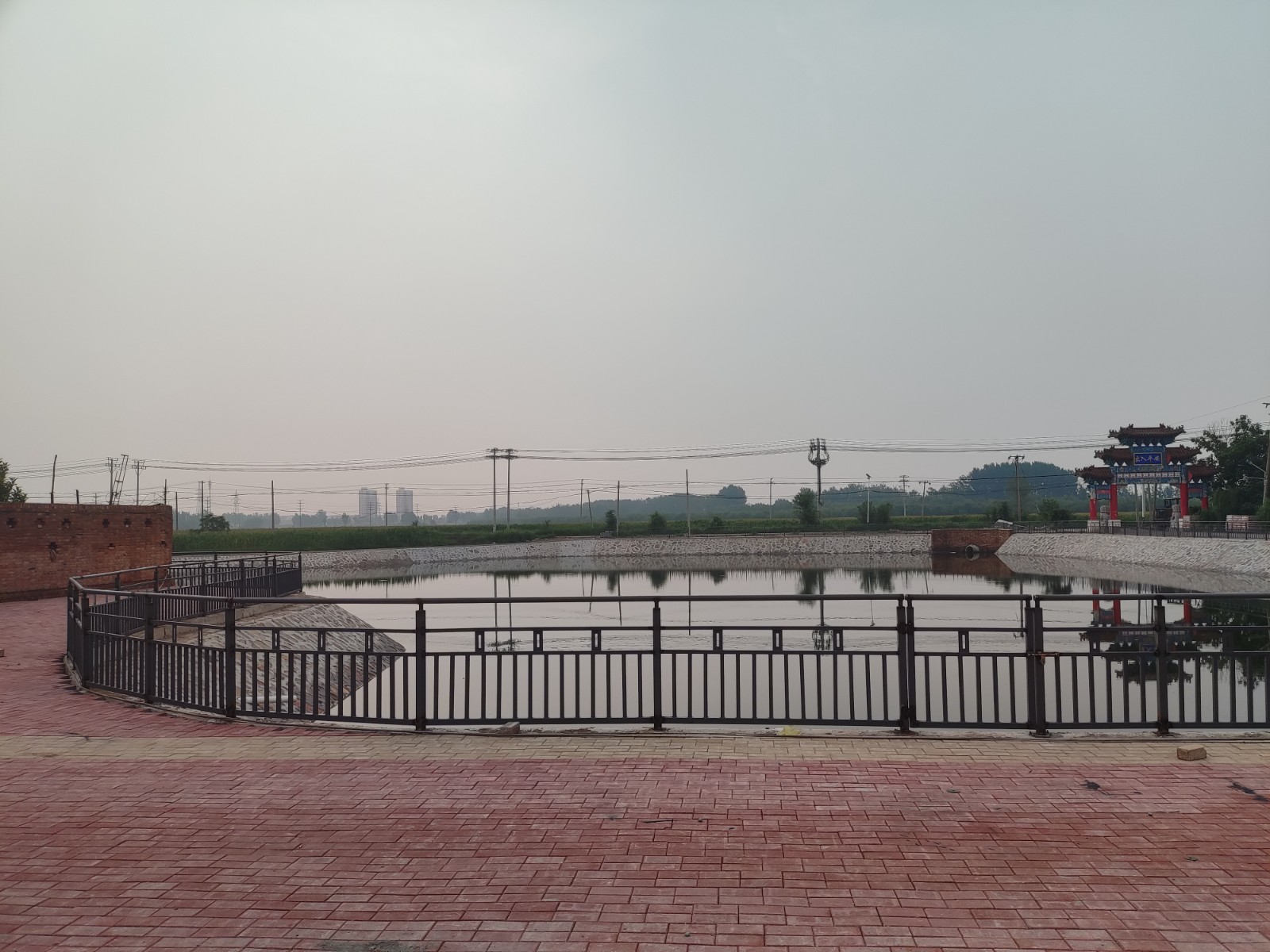天津乡村振兴3.jpg